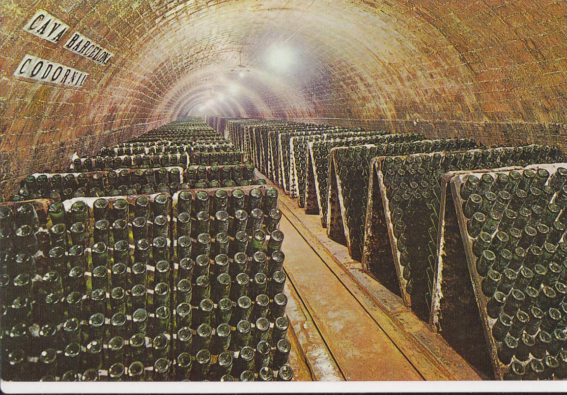 Postal 62138 : Cavas Codorniu. Botellas en pupitre