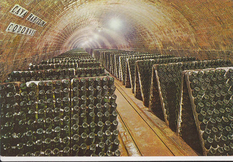Postal 62138 : Cavas Codorniu. Botellas en pupitre