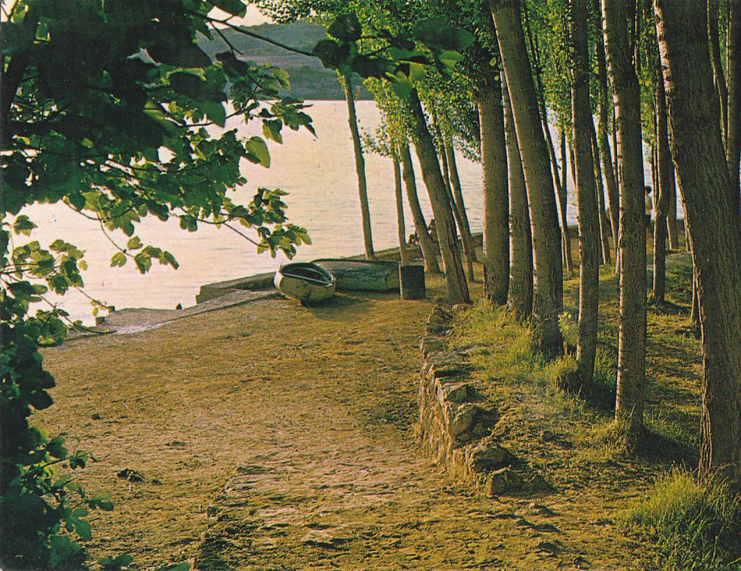 Postal 62152 : lagunas de Ruidera. Embarcadero del Hogar del pescador