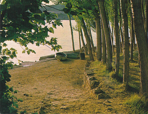 Postal 62152 : lagunas de Ruidera. Embarcadero del Hogar del pescador