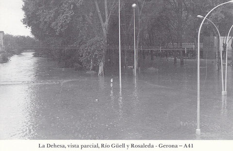 Postal 62169 : Gerona. Rio Guell. La Dehesa y la Rosaleda. Inundacion