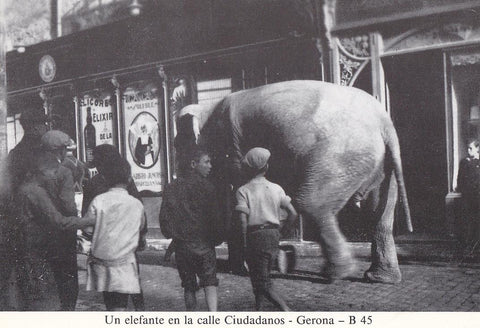 Postal 62201 : Un elefante en la calle Ciudadanos - Gerona
