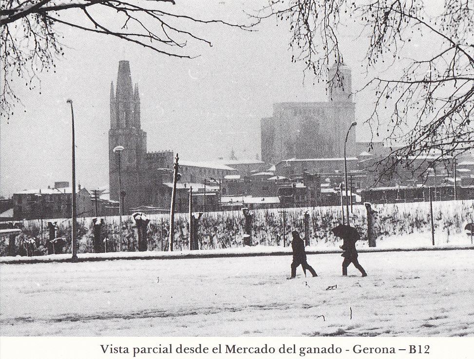 Postal 62269 : Vista pacial desde el Mercado del ganado - Gerona