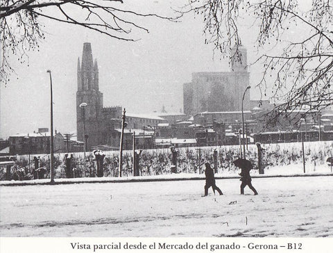 Postal 62269 : Vista pacial desde el Mercado del ganado - Gerona