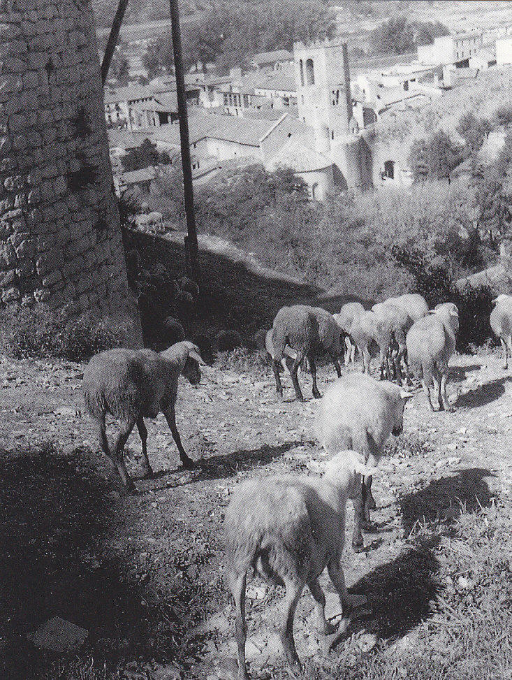 Postal 62303 : San Pere de Galligans - Gerona