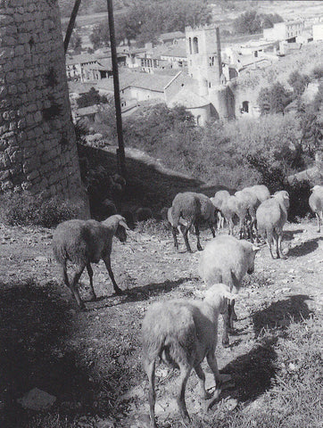 Postal 62303 : San Pere de Galligans - Gerona