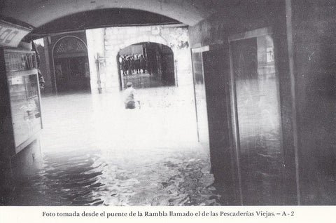 Postal 62402 : Foto tomada desde el puente de la Rambla llamado el de las Pescaderias Viejas
