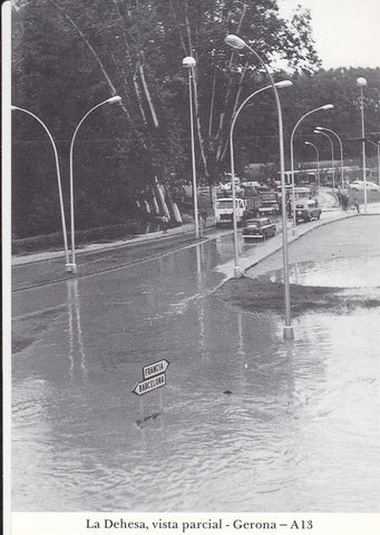 Postal 62413 : La Dehesa vista parcial - Gerona