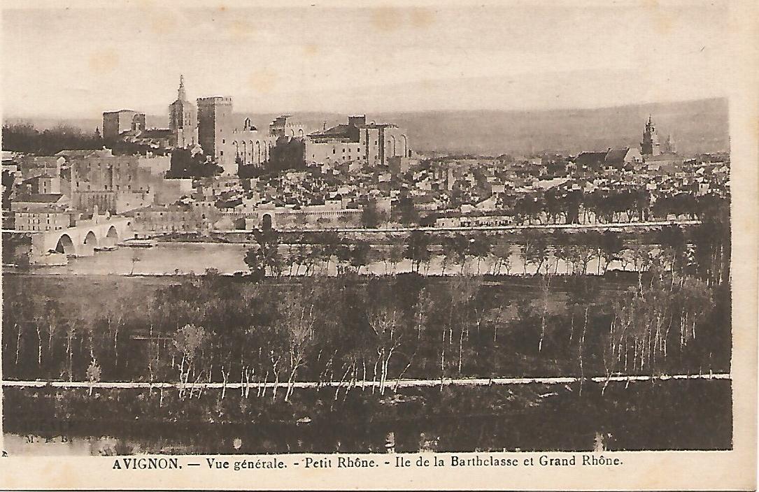 Postal 51484: AVIGNON - Vista general
