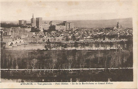Postal 51484: AVIGNON - Vista general