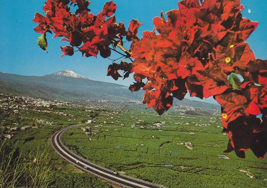 Postal 60384. Vista del valle autopista Norte y Teide. La Orotava