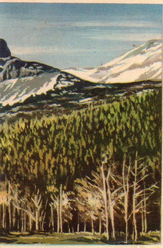 CROMO Viajando por America del Norte:  Numero 10