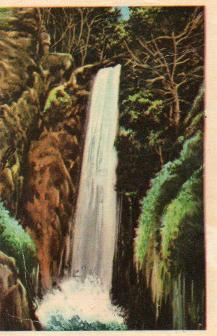 CROMO Viajando por America del Norte:  Numero 260