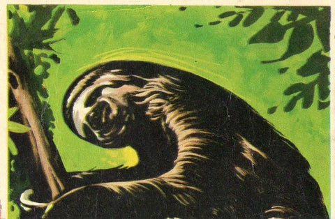CROMO Viajando por America del Norte:  Numero 238