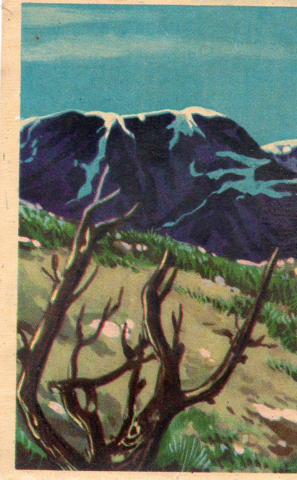 CROMO Viajando por America del Norte:  Numero 144