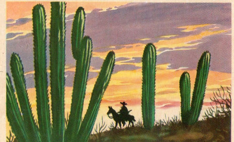CROMO Viajando por America del Norte:  Numero 233