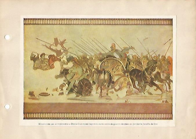 LAMINA 5243: Mosaico con la Batalla de Iso