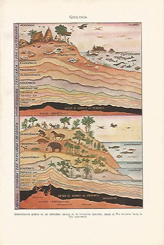 LAMINA SALVAT 80034: Geologia de la tierra