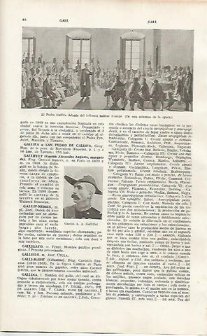 LAMINA SALVAT 80049: El padre Gallifa delante del tribunal militar