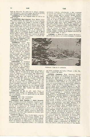 LAMINA SALVAT 80058: Vistas de Garmisch Alemania