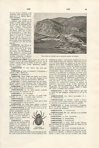 LAMINA SALVAT 80060: Costas del Garraf Barcelona