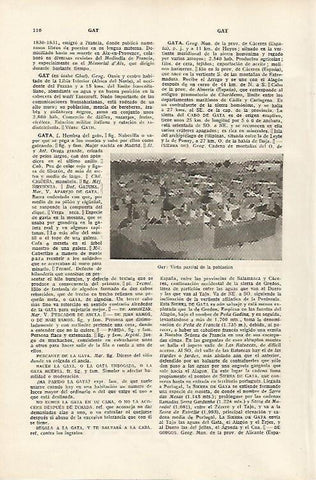 LAMINA SALVAT 80061: Vista de Gat Libia