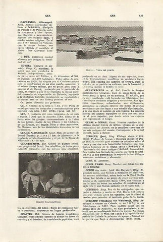 LAMINA SALVAT 80064: Puerto de Gdynia Polonia