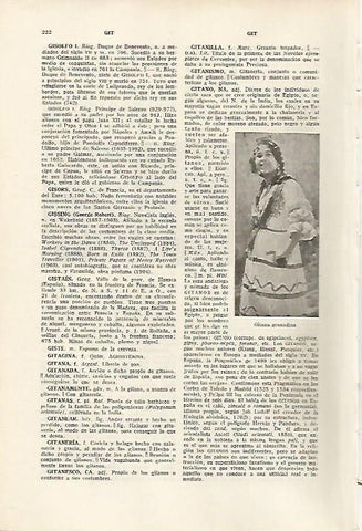 LAMINA SALVAT 80081: Gitana de Granada