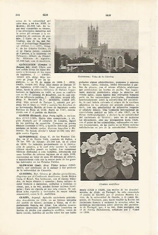 LAMINA SALVAT 80084: Catedral de Gloucester