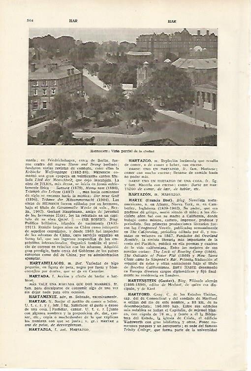 LAMINA SALVAT 80146: Vista de Harrogate