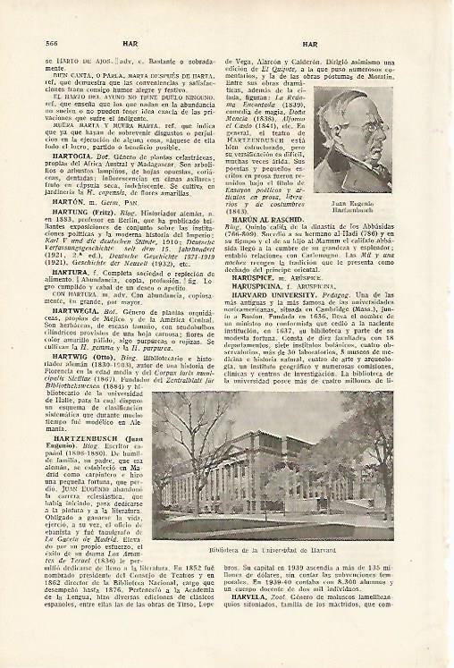 LAMINA SALVAT 80147: Biblioteca de la Universidad de Harvard