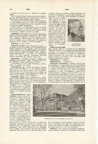 LAMINA SALVAT 80147: Biblioteca de la Universidad de Harvard