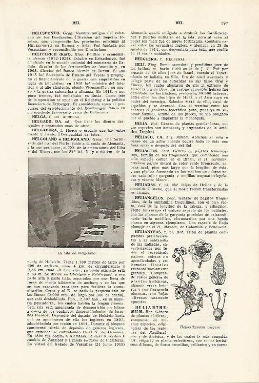 LAMINA SALVAT 80156: Isla de Helgoland Alemania