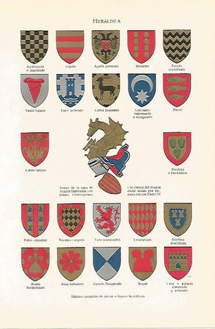 LAMINA SALVAT 80164: Heraldica