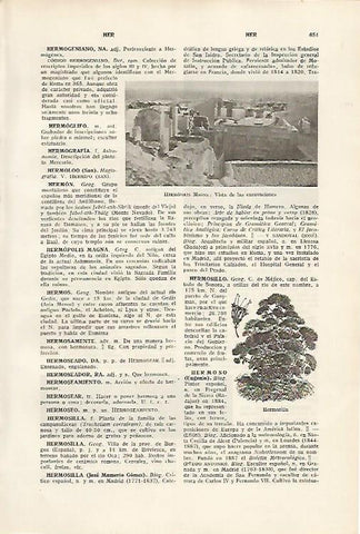 LAMINA SALVAT 80169: Excavaciones de Hermopolis Magna Egipto