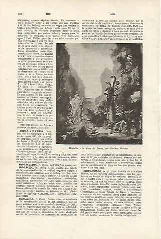 LAMINA SALVAT 80171: Hercules y la hidra de Lerna por Moreau