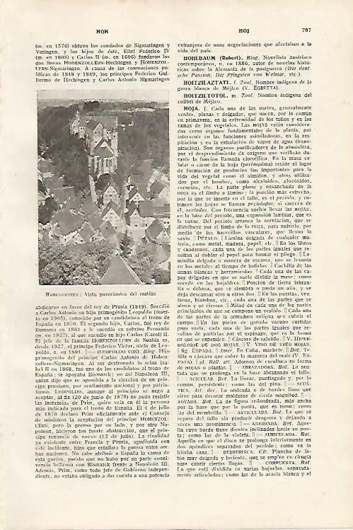 LAMINA SALVAT 80183: Castillo de Hohenzollern