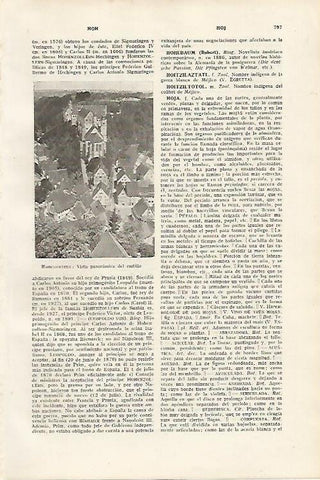 LAMINA SALVAT 80183: Castillo de Hohenzollern