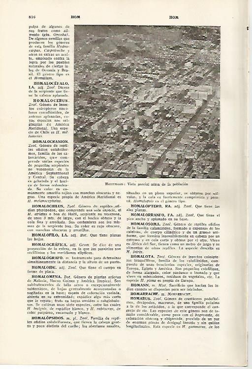 LAMINA SALVAT 80189: Vista aerea de Hollywood