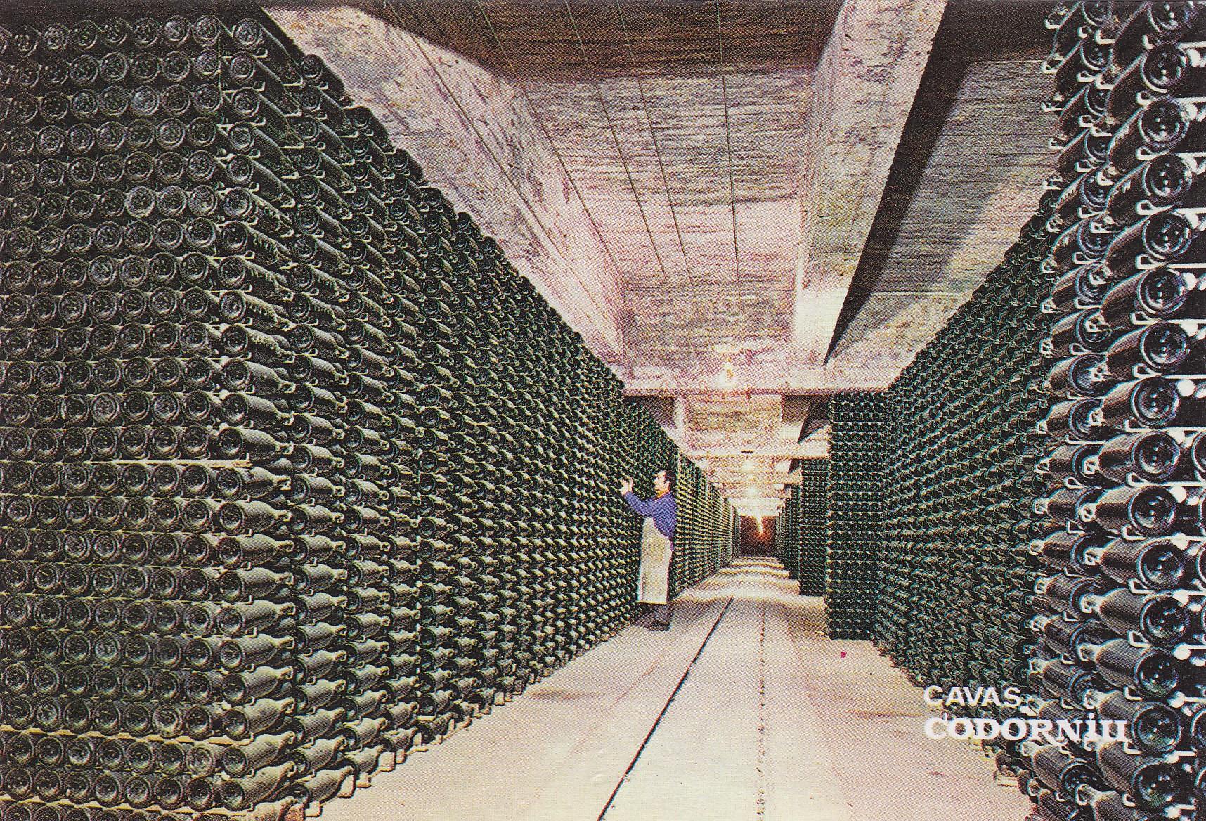 Postal 60852: Publicitaria. Envejecimiento de botella. Cavas de Codorniu. 