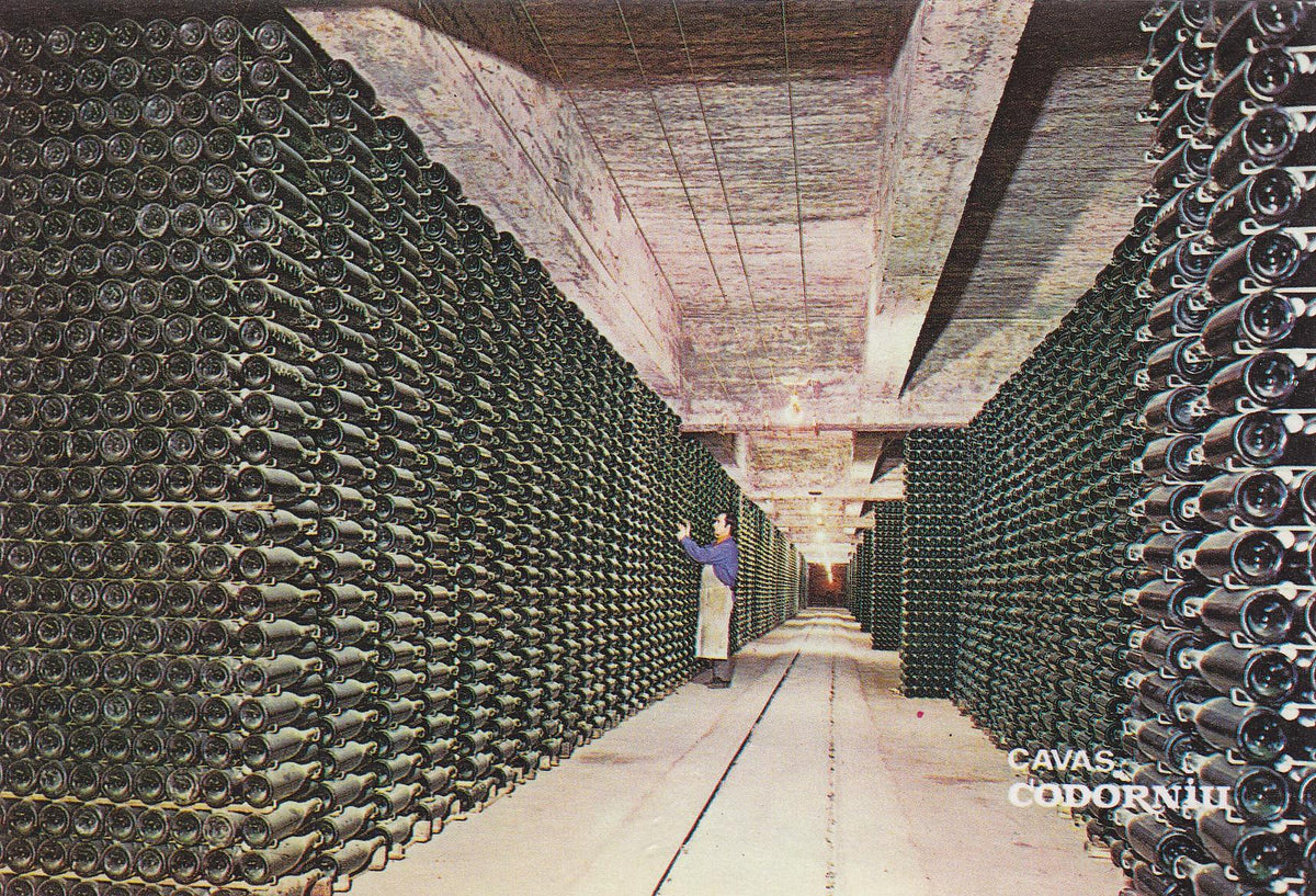 Postal 60852: Publicitaria. Envejecimiento de botella. Cavas de Codorniu. 