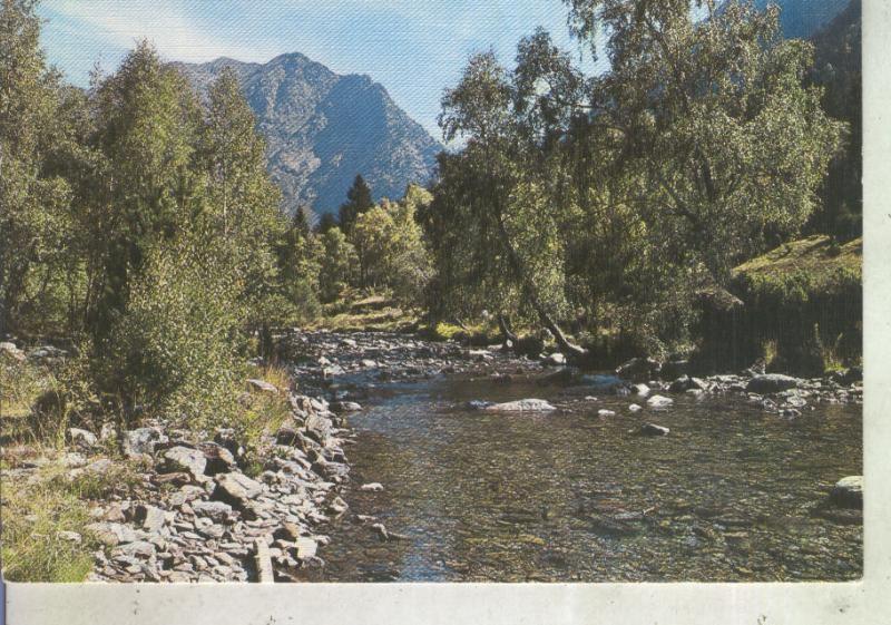 Postal 012425: Bosque de abedules en Tabescan, Pirineo Catalan