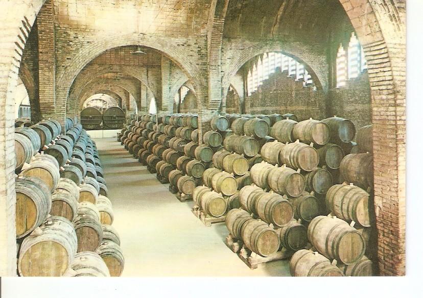 Postal 024140 : Una bodega. Cavas Codorniu