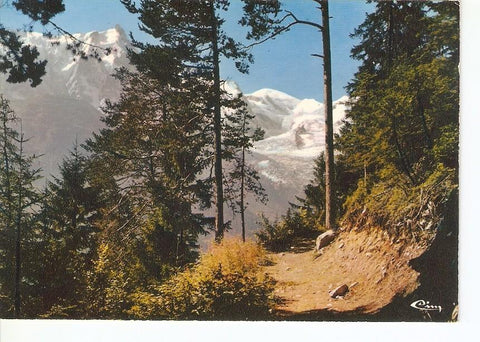 Postal 032110 : Chamonix Mont Blanc Depuis le petit Balcon sur le massif du Mont-Blanc