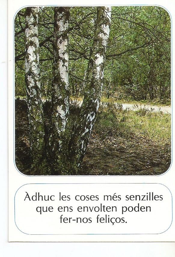 Postal 032187 : Bosque