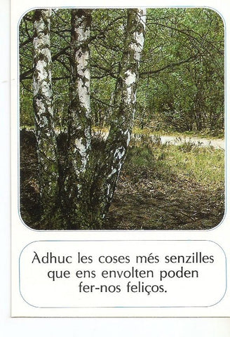 Postal 032187 : Bosque