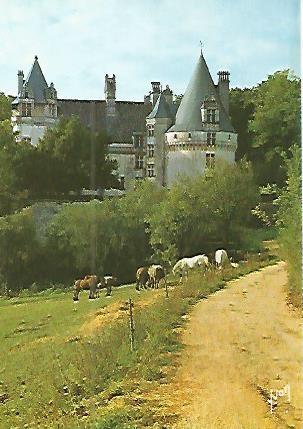 POSTAL 52960: CHATEAU DE PUYGUILHEM