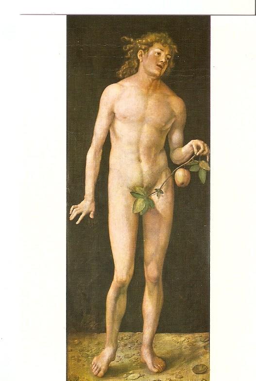 Postal 048744 : Adan. Museo del Prado A. Durero
