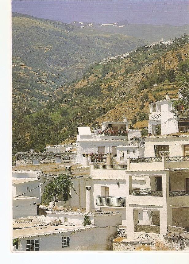 Postal 020715 : Vista Pampaneira Capileira y Sierra Nevada al fondo. Alpujarras - Granada