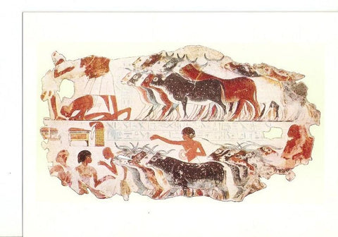 Postal 021287 : Inspection of the castle belonging to Nebamun